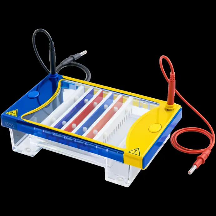 Complete Denaturing Gradient Gel Electrophoresis System, 20x20 cm; includes: temperature control unit, cam casting base, glass plates with 1 mm bonded spacers, 2x24-sample combs and gradient mixer,110V/220V